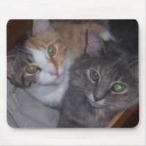 Friendship mousepads