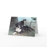 Friendship  :o)  (blank inside) greeting cards