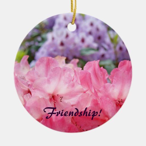 friendship ornament pink rhodies holiday ornament zazzle friendship ornament pink rhodies holiday ornament zazzle