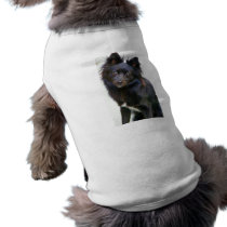 Friendship_Pet Clothing pet clothing by zazzlegirboy09 Friendship_Pet Clothing pet clothing