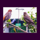 Friendship_Postcard