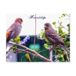 Friendship_Postcard