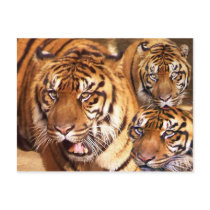 Friendship_Postcard by ELENNE Friendship_Postcard
