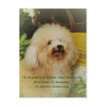 Friendship postcards
