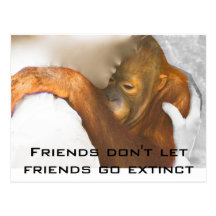 Friendship Postcards