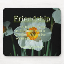 Friendship Proverbs 17-17 mousepads