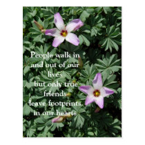 Friendship - Purple flowers postcards