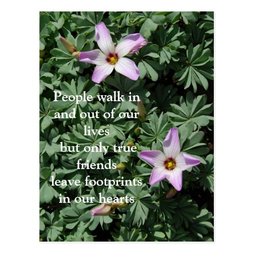 Friendship Purple flowers Postcard Zazzle