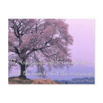 Friendship Quote 1 - Cherry Blossom Tree Postcards