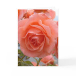 Friendship Rose Greeting Card