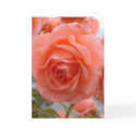 Friendship Rose cards by Killlashandra Friendship Rose cards