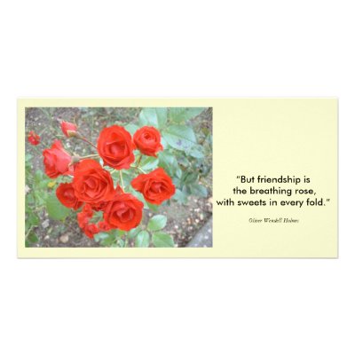 friendship quotes for birthday cards. friendship quotes for irthday