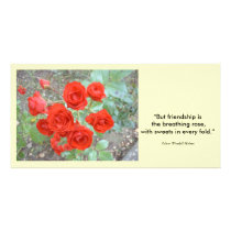 Friendship Rose photo cards by Nyumix Friendship Rose photo cards
