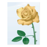 Friendship Rose Postcard