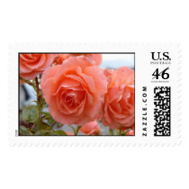 Friendship Roses Postage