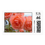 Friendship Roses Postage