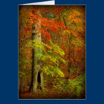 Friendship Tree Card cards
