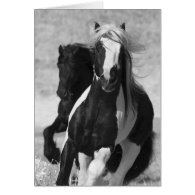 Friesian and Gypsy Run Horse Greeting Card
