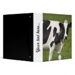 Friesian cow binders