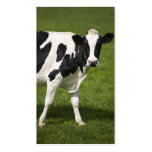 Friesian cow bookmark business card