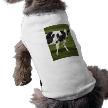 Friesian cow pet tshirt