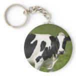 Friesian cow key chains