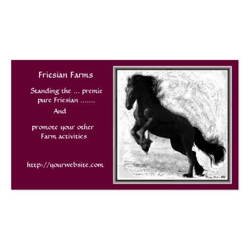 Friesian Farm Business cards (front side)
