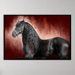 Friesian Fire Poster