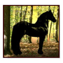 Friesian Forest Print by RookyStudios Friesian Forest Print