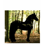 friesians, horses, mystical, rookystudios, fashion