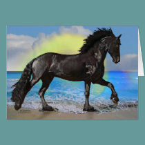 Friesian Horse Beach cards