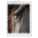 Friesian Horse Design Card