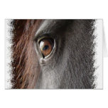 Friesian Horse Design Greeting Card