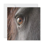 Friesian Horse Eye Invitation