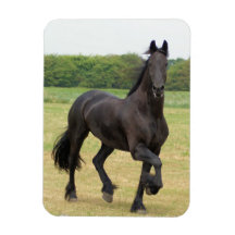 Friesian Horse Flexible Magnet