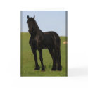 Friesian Horse Greeting cards