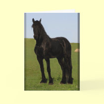 Friesian Horse Greeting cards