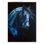 Friesian Horse Greeting Cards