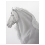Friesian Horse Letterhead