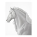 Friesian Horse Letterhead