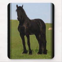 Friesian Horse Mousepad #9 by RookyStudios Friesian Horse Mousepad #9