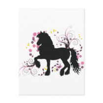 Friesian Horse Postcards