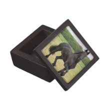 Friesian Horse Premium Gift Box