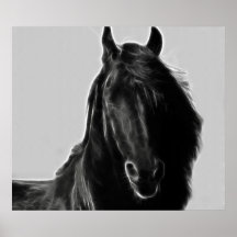 Friesian Horse profile Posters