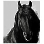 horse, horses, friesian, for all, animal, nature,
