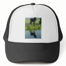 Friesian Horse Reflection in water Mesh Hat