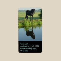 Friesian Horse Reflection in water labels