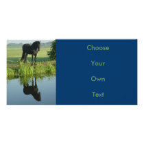 Friesian Horse Reflection in water Customized Photo Card