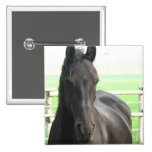Friesian Horse Square Button