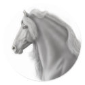 Friesian Horse Sticker sticker